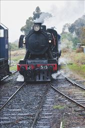 1.	The steam train J515 is approaching Maldon station, Vulcan Foundry built this locomotive J515 in 1954 and it is currently loaned from Seymour Railway heritage centre. The rail operates between maldon and castlemain stations, which are part of the broad gauge rail line called the Victorian Goldfields Railway. Opened by the end of 19th century spanning 17km in length, this rail line is a direct link to the gold rush period. : by thebookoftravel, Views[1338]