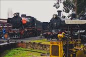 4.	The yard at where they stop the trains after the last trip for the day. Brendan is finishing his final inspections on the train. Many locomotives in the yard are no longer used because of the unavailability of crucial parts or it is simply not cost effective. Once the examinations are completed the crew leaves and the station is shut down. The steam rail awaiting for its next journey and taking the guests to experience a glimpse of a bygone era. There are other locomotives such as the D3 639 which are not in service anymore because of strict rules or needs to be fixed. People like Brendan is their last chance.: by thebookoftravel, Views[584]