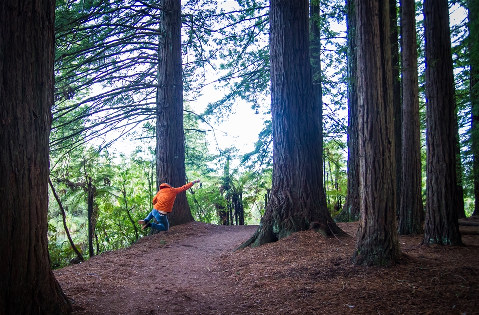 Andrew, Whakarewarewa forest, New Zealand.