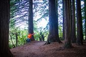 Andrew, Whakarewarewa forest, New Zealand.: by thebridgeofhumanity, Views[225]