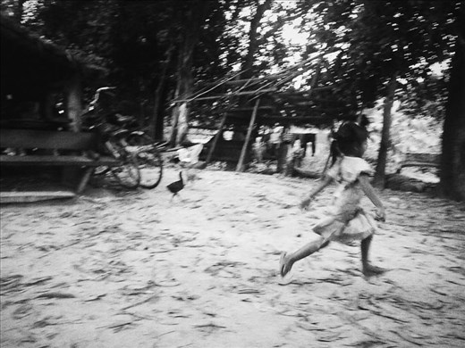 Countryside near Siem Reap