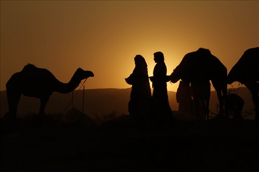 As I wake up, the Sun rises - 

I encountered this morning in Pushkar with those two girls who woke up with their companions. They were collecting Camel dung and were on their way to their secret place where they would make some of the finest handcrafted papers. 
