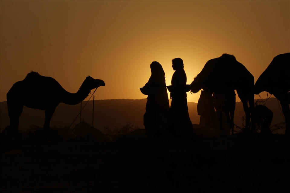 As I wake up, the Sun rises - 

I encountered this morning in Pushkar with those two girls who woke up with their companions. They were collecting Camel dung and were on their way to their secret place where they would make some of the finest handcrafted papers. 
