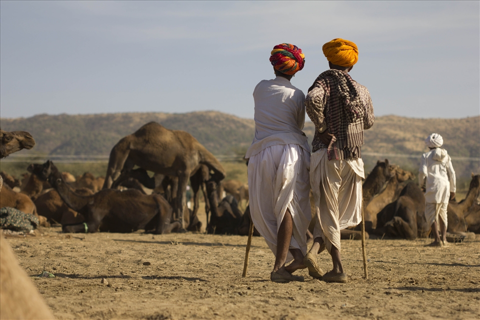 Mountains and travellers - They belong to a big earth that moves beyond boundaries. They are never tired, never stuck and never says good bye. Camel sellers of Pushkar have their minds and souls set; they say, let’s keep moving until we meet again.