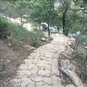 by thedarlingofdarlingdowns, Views[151]