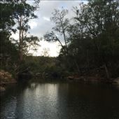 by thedarlingofdarlingdowns, Views[127]