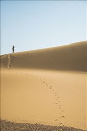 by thedeeeva, Views[263]