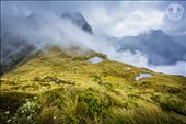by thedigitalnomad, Views[131]