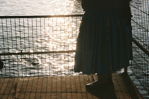 A lady watches a sea lion approach her at the port of Arica in Northern Chile.