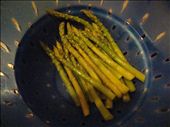 First Steps- Asparagus: by theextraordinarylifeoftomatoes, Views[329]