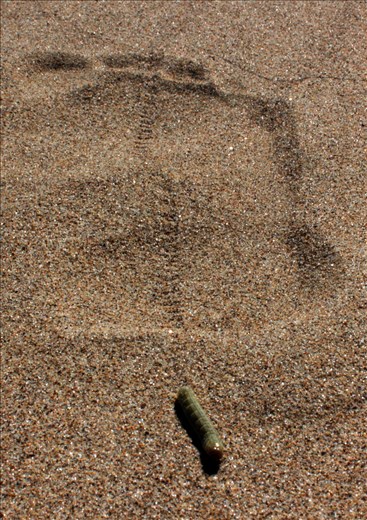 While exploring the dunes of the Oregon Coast, I found this caterpillar who walked with a purpose. Though he was walking through the footprint of a giant he remained unaware of the significance. 

No matter the impact that we have on nature, nature will continue to trudge on. No matter the obstacles that we put in it's way, nature will persevere. 