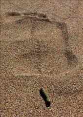 While exploring the dunes of the Oregon Coast, I found this caterpillar who walked with a purpose. Though he was walking through the footprint of a giant he remained unaware of the significance. 

No matter the impact that we have on nature, nature will continue to trudge on. No matter the obstacles that we put in it's way, nature will persevere. : by theeyesofike, Views[504]