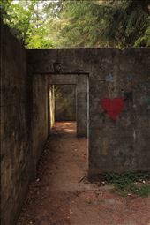 In the summer of 2014 I had the privileged living on the Oregon Coast. I did a lot of traveling along Highway 101, specifically 1001 miles (hence the 1001 on the 101). On my days off I sought adventure and photo opportunities. 

Each of my photo entries centers around the common theme of the wilderness vs. civilization vs. the individual. 

I had been told about these old abandoned bunkers on the coast of Oregon, and I decided to seek them out.

You can clearly see that the roof is missing and creates this effect of the bunker being integrated into nature rather than separated from it. : by theeyesofike, Views[316]