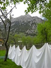 After visiting the city of Leon, we trekked out into countryside, where we were greeted by lush green foliage and majestic mountains.  After a long and filling lunch, I spotted these linens that were hung to dry.  I can still feel the wind and smell the fresh air.: by thefearlesspereles, Views[241]