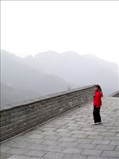 by thefearlesspereles, Views[590]