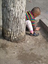 by thefearlesspereles, Views[601]