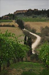 by thefoodpilgrims, Views[217]