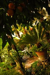 by thefoodpilgrims, Views[237]