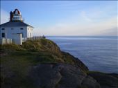 by thefunlibrarian, Views[123]