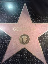 walk of fame: by thegreatchubby, Views[178]