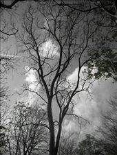 then humans began to ruin: by thegreenuniverse, Views[235]