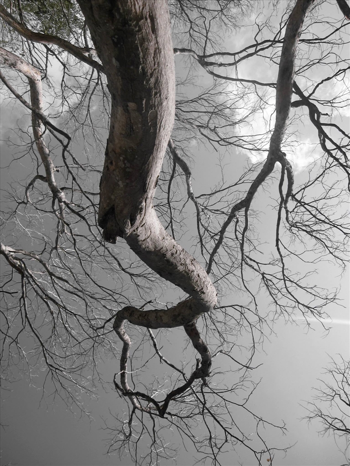 be careful because the universe will eventually reverse