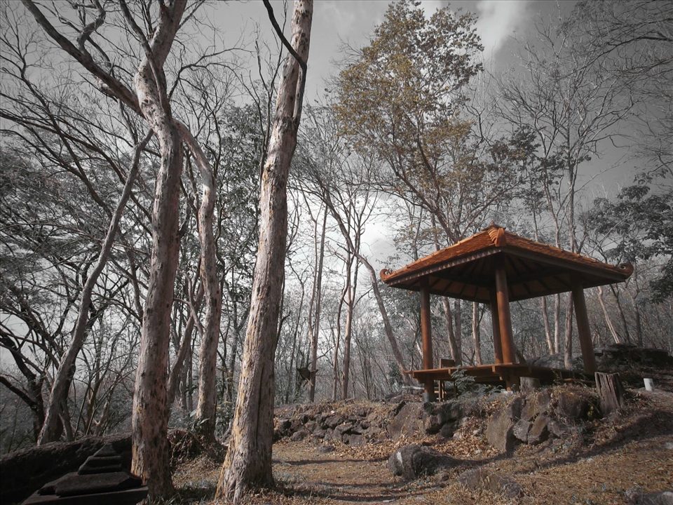 humans began to use it for personal gain