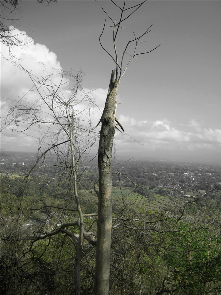 it was green for the first time