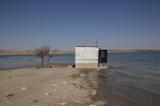 Under 40º C , clothes are left in a dry tree, Atatürk Barajı, Kâhta