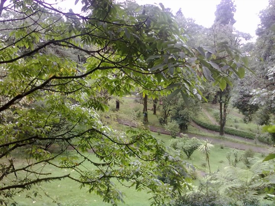 The Long Lonely Roads