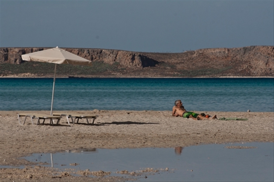 A local basking beneath the winter sun in nature.