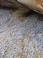 by thekiwireporter, Views[182]