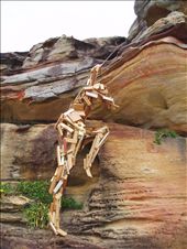 by thekiwireporter, Views[206]