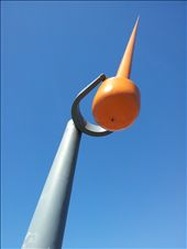 Bobbing sculpture: by thekiwireporter, Views[187]