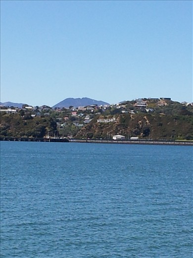 You may be able to see the sign WELLINGTON like Hollywood
