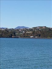 You may be able to see the sign WELLINGTON like Hollywood: by thekiwireporter, Views[313]