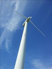 Wind turbine landmark: by thekiwireporter, Views[240]