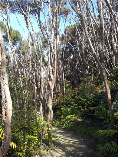 Just in the backyard