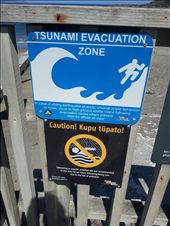 island bay tsunami warnings: by thekiwireporter, Views[257]