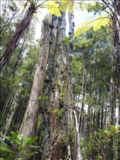 by thekiwireporter, Views[176]