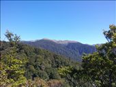 Tarauas view of Mt Holsworth: by thekiwireporter, Views[215]
