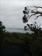 by thekiwireporter, Views[109]