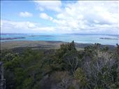 Rangitoto summit view: by thekiwireporter, Views[160]