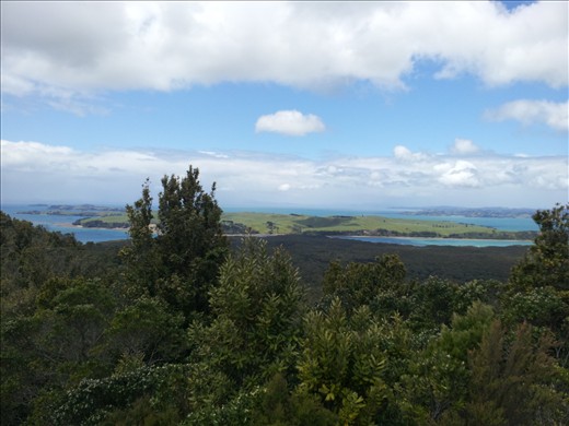 View of Motutapo island