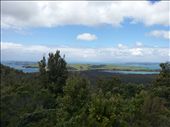 View of Motutapo island: by thekiwireporter, Views[230]