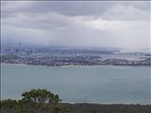 Raining in Auckland: by thekiwireporter, Views[193]
