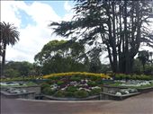 Alberts park: by thekiwireporter, Views[128]