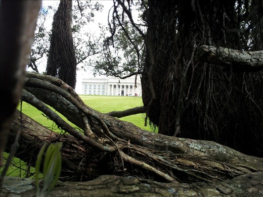 The white house? no of course it is the Auckland Museum