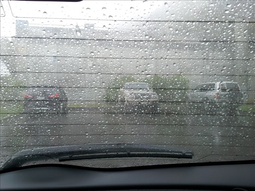 Inviting view for a walk