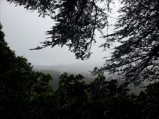 Apparently meant to be a good veiw of the coast!